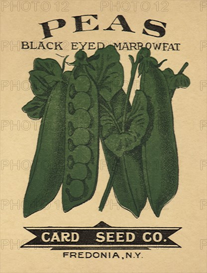 Peas Seed Packet