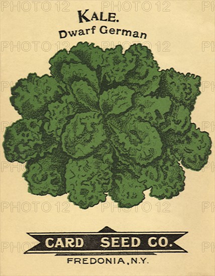 Kale Seed Packet