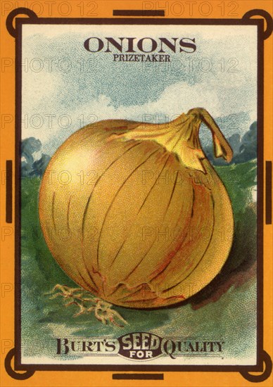 Onion Seed Packet