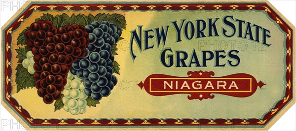 Grape Label