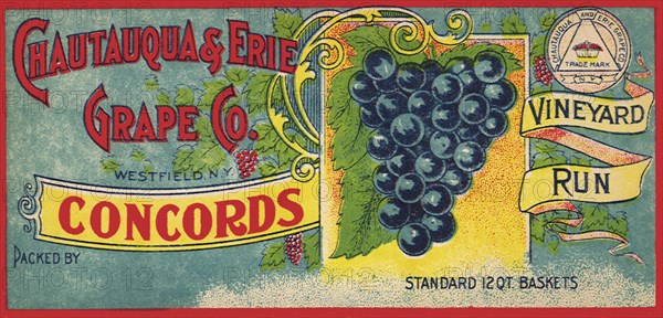 Grape Label