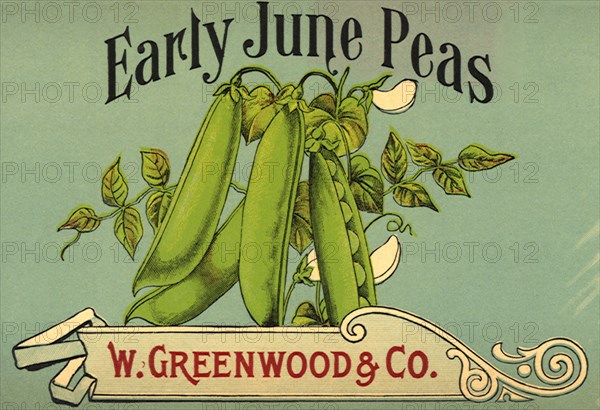 Peas in Pods Label