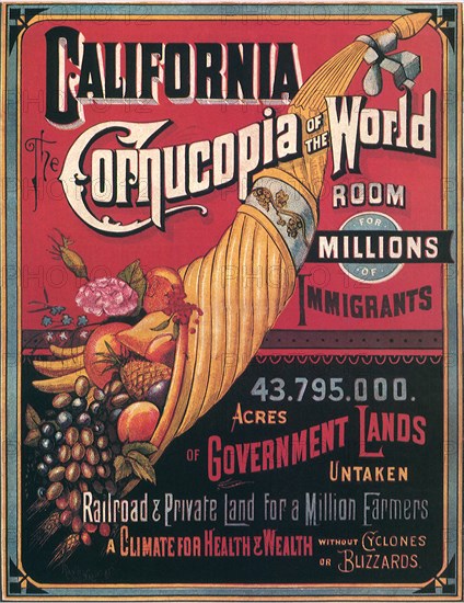 Cornucopia Poster