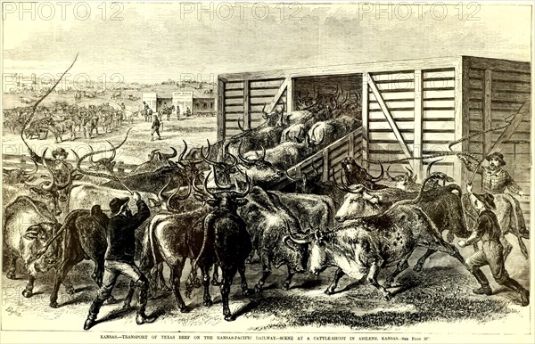 Cattle Chute in Abilene, Kansas