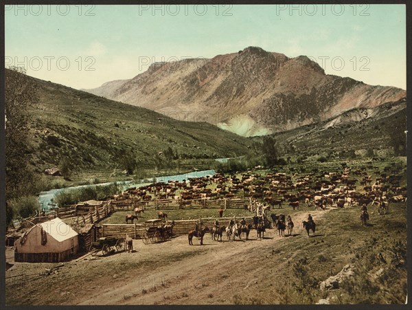 Circa 1898 -  Colorado. 'Round up' on the Cimarron. Photochrome