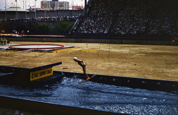Trick skier during a show inside a stadium filled with spectators (possibly at a fair) circa 1957-1960.