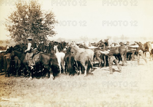 Roping and changing scene at --T Camp on round up of --T. 999 --S. & G., A.U.T. and others on Cheyenne River 1887-1892.