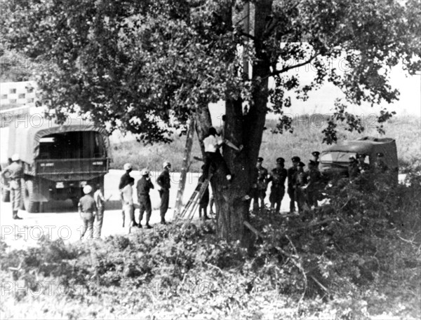 Tree Pruning Incident in the Joint Security Area (Panmunjon) within the Korean Demilitarized Zone circa 1976.