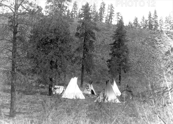 Edward S. Curtis Native American Indians - Tipis and a tent under trees in a Spokane camp circa 1910.