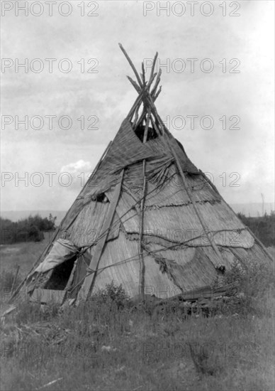 Edward S. Curits Native American Indians - Photograph shows reed mat covered tepee in grassy field, Washington circa 1910.