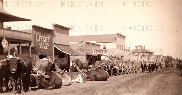 Line of oxen and wagons along main street. Sturgis Dakota Territory 1887-1892.