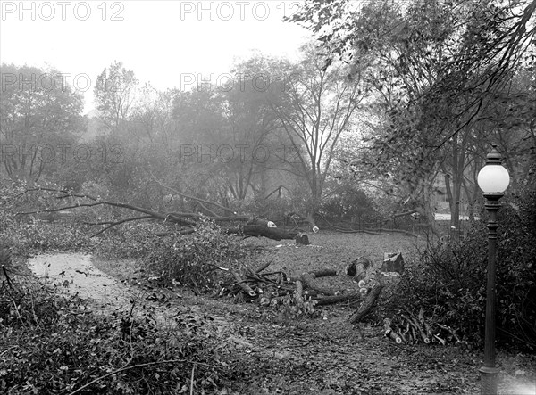 District of Columbia Parks - Cutting trees on mall sites for new war buildings circa 1917.