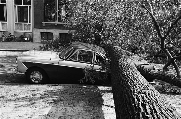 Tree fallen on Frederiksplein on top of the car / Date September 27, 1963.