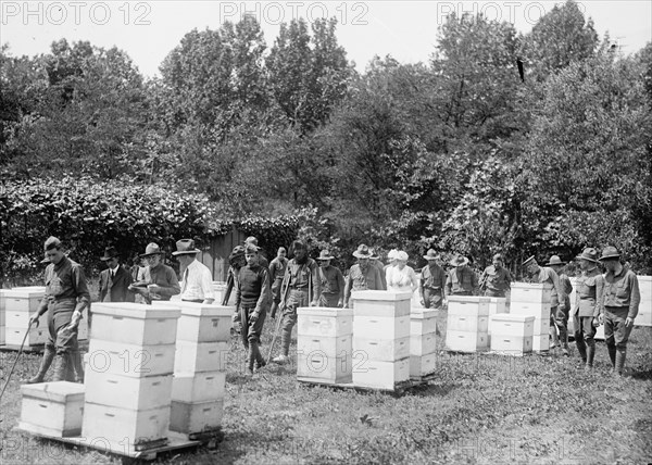 Beekeeping demonstration and instruction for wounded soldiers circa 1919 .