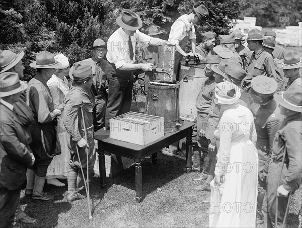 Beekeeping demonstration and instruction for wounded soldiers circa 1919 .