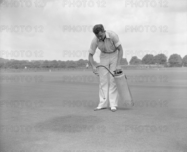 Experts of the U.S. Department of Agriculture, working with the United States Gold Association, have combined an insecticide with a green dye circa 1938 (spraying greens)  .