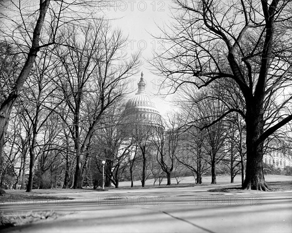 U.S. Capitol building seen through barren trees circa 1939.