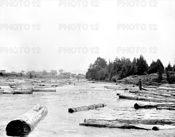 Side Jams Moira River, 1907.