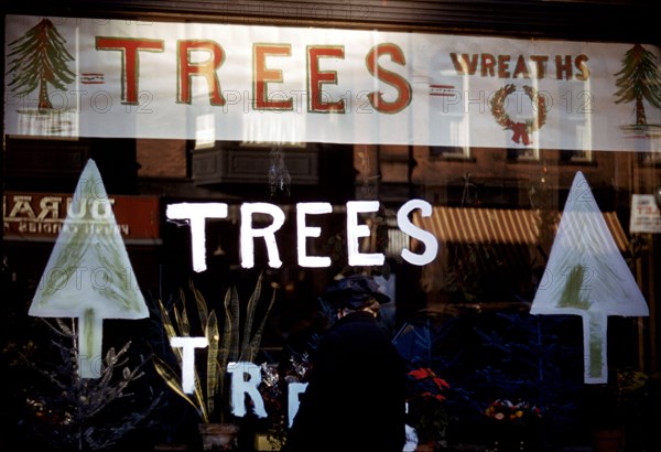 Christmas trees and wreaths in store window display 1941-1942.