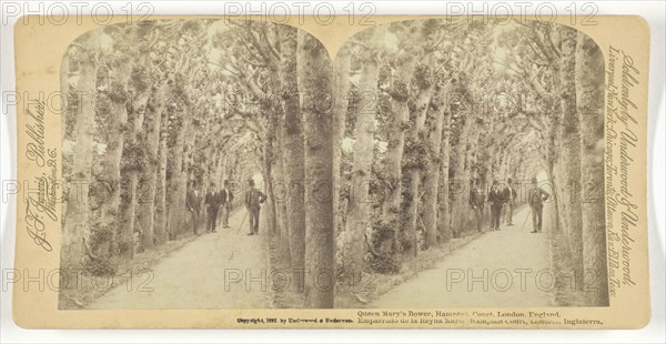 1892 Art Work -  Queen Mary's Bower; Hampton Court; London; England - Underwood & Underwood (Publisher).