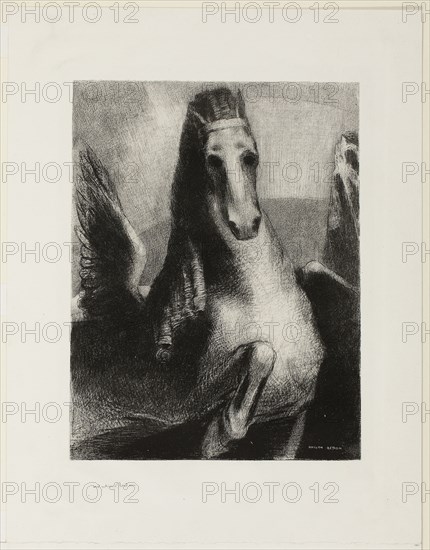 1893 Art Work -  The Wing - Odilon Redon.