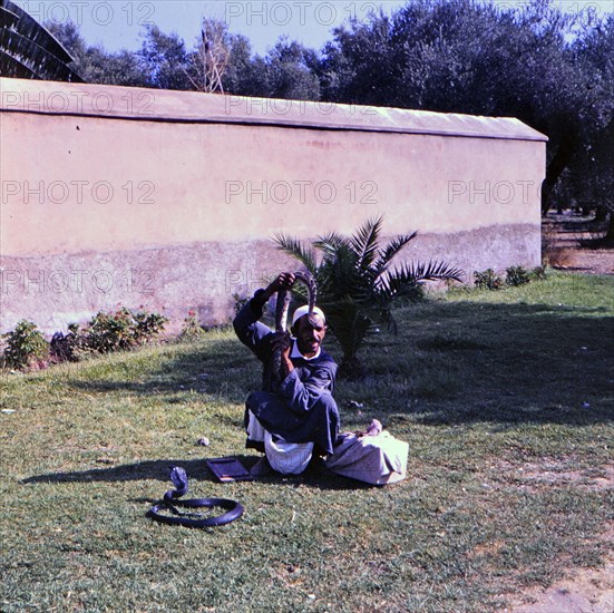 Snake handler in Casablanca Morocco circa 1969.