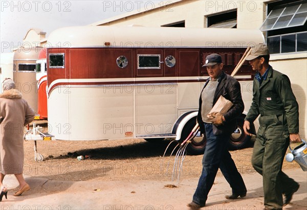 1960 Ft. Worth Stock Show - Workers with a pitchfork at the Fort Worth Stock Show .