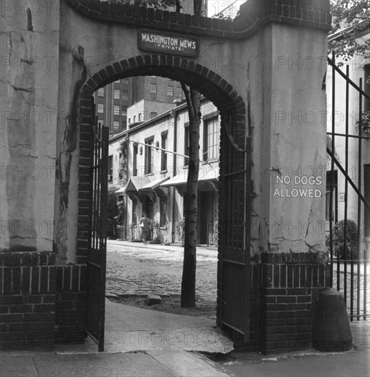 Washington Mews, Greenwich Village