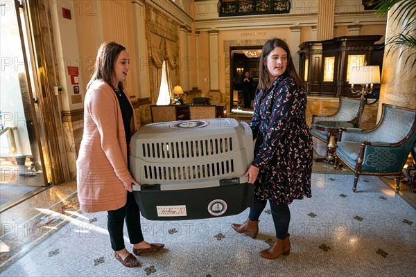 The Presidential Turkeys arrive at The Willard Hotel in Washington