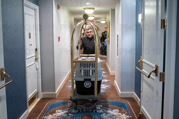 The Presidential Turkeys arrive at The Willard Hotel in Washington