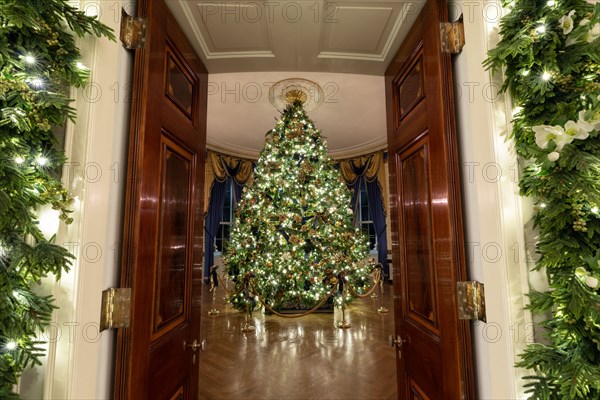 The Blue Room of the White House