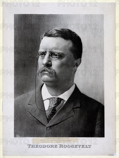 Theodore Roosevelt