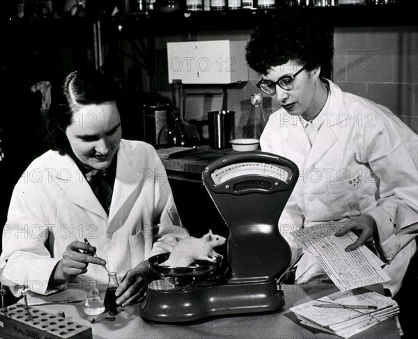 Two women weigh a rat as part of a study on weight and blood changes