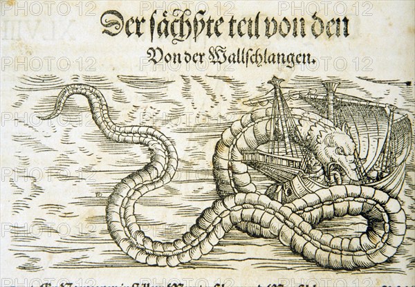 Woodcut illustration of a gigantic snake