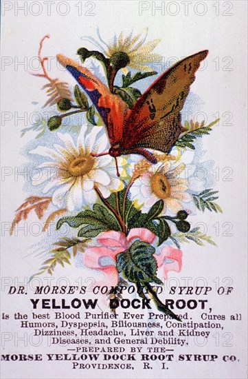 Dr. Morse's Compound Syrup of Yellow Dock Root