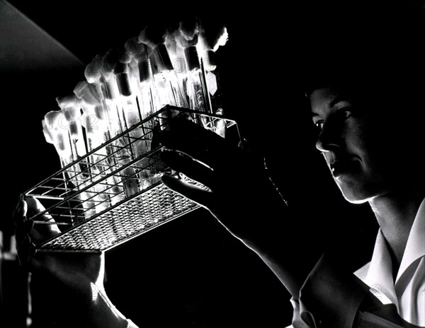 Woman holding beakers in research laboratory.