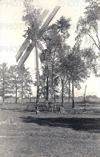 Photograph of an aircraft caught in the branches of a tree