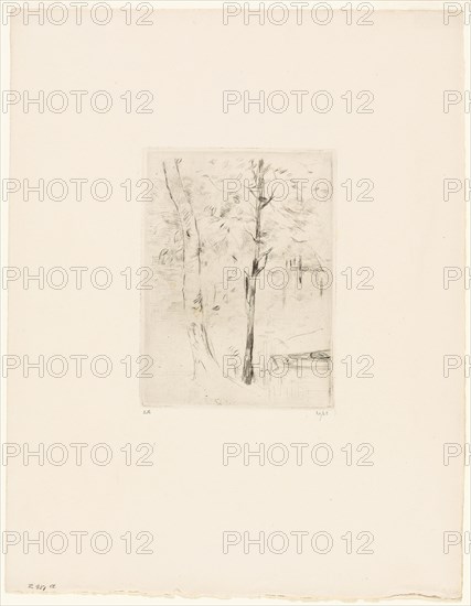 The Lake in the Bois de Boulogne - 1889