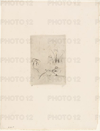 The Duck - 1889