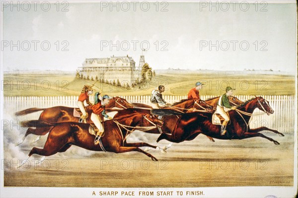 19th century equine illustration