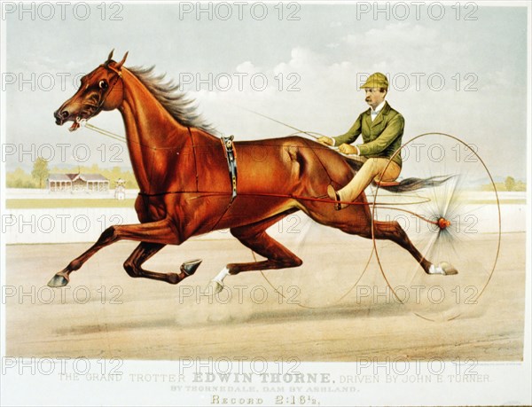 Horse Racing History