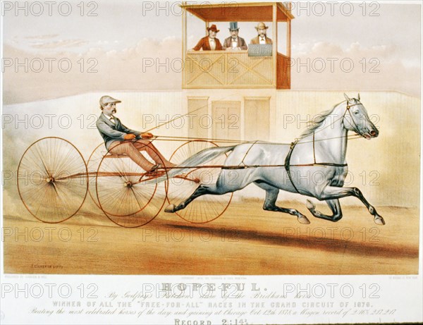 Horse Racing Illustration