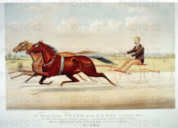The trotting gelding Frank with J.O. Nay