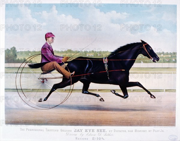 Horse Racing History