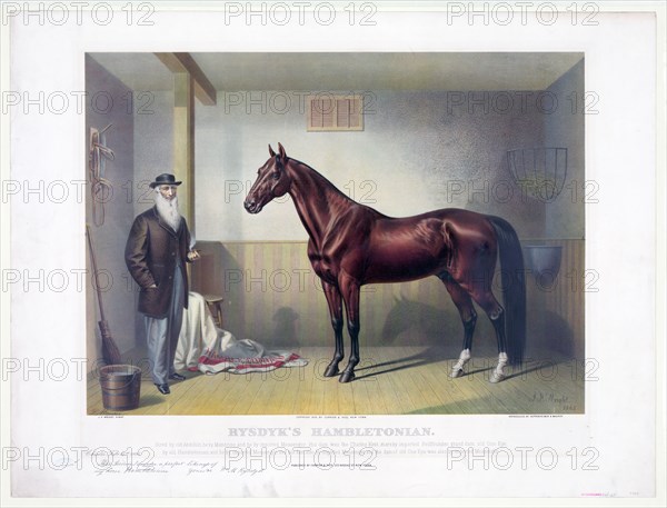 19th Century Equine Art