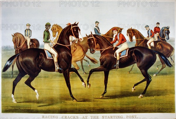 19th Century Equine Illustratioin