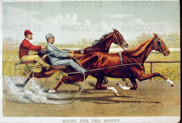 Horse Racing Illustrations