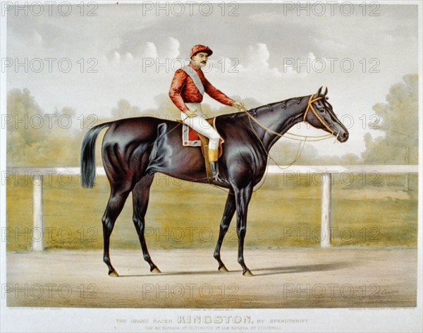 Horse Racing Illustration