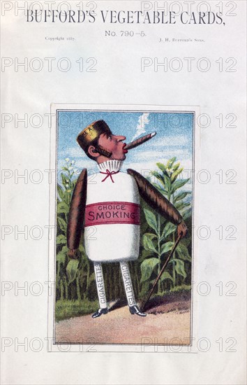 Bufford's vegetable cards