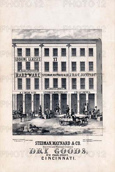 Stedman, Maynard & Co. Importers